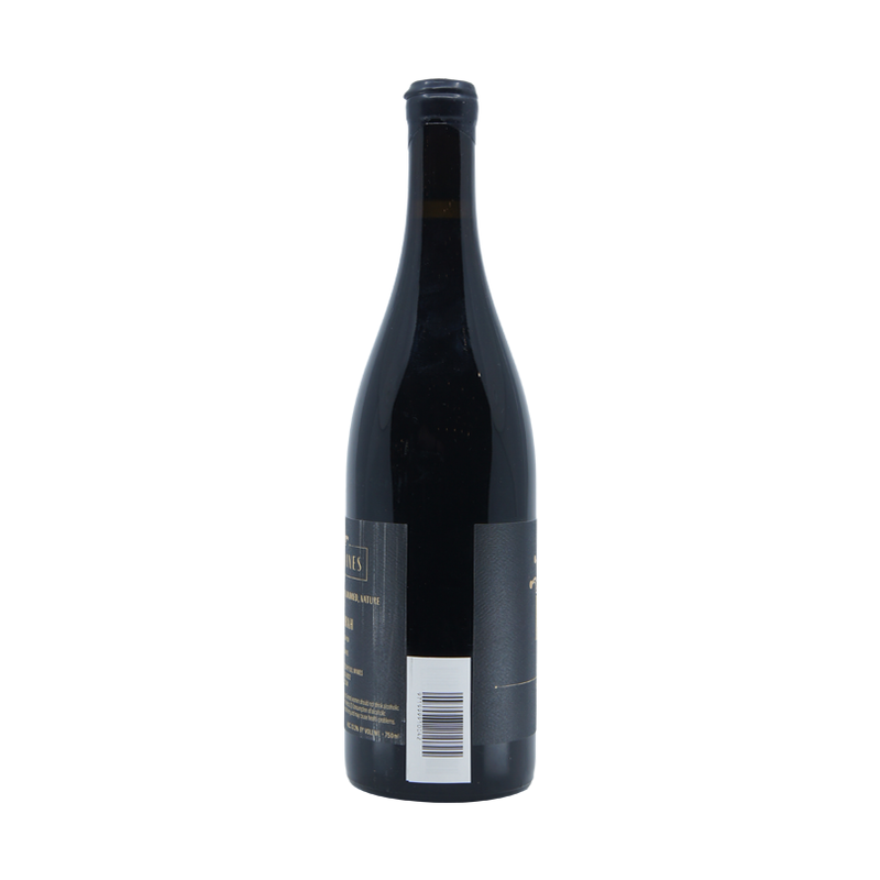 Fuil Syrah 2021