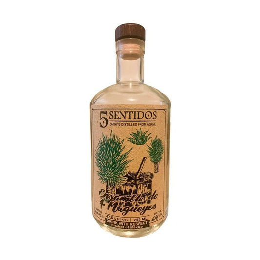 5 Sentidos Ensamble de 4 Magueyes Agave Spirit